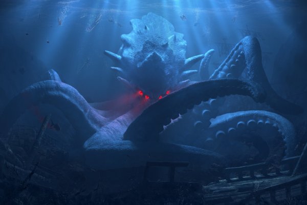 Kraken рынок